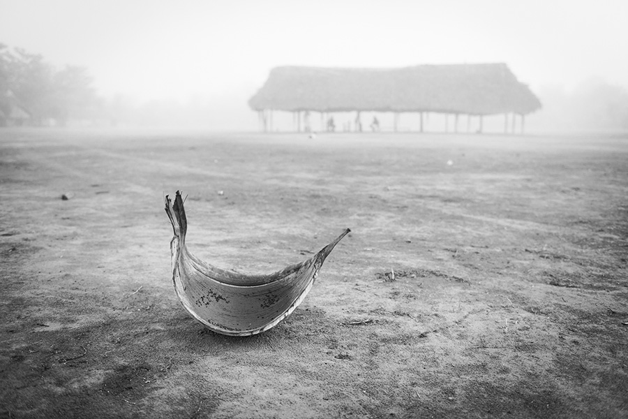 ronmnonnhonpin, neblina. riprem (parte de palmeira) utilizado para urucum no dia passado - pr'atica ancestral, ao fundo, a casa do guerreiro, ngà